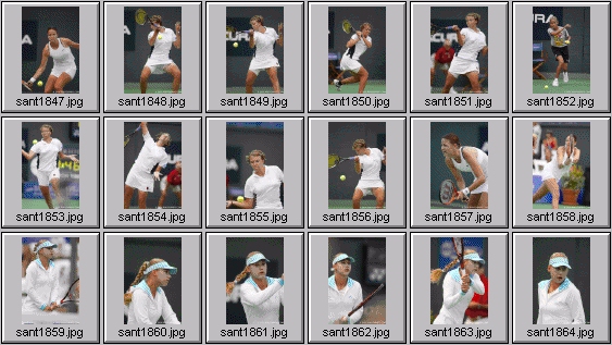 davenport mikaelian kournikova