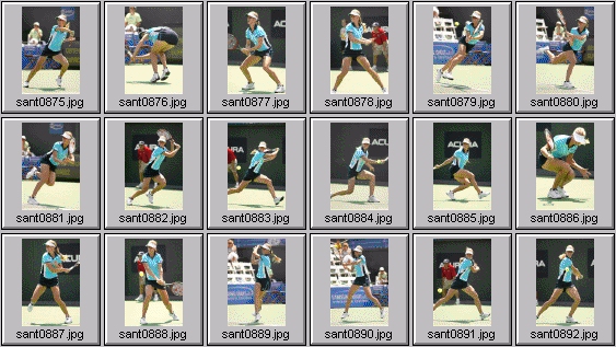 elena dementieva paola suarez