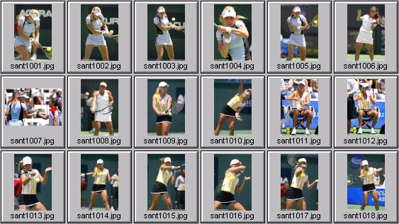 jelena dokic ashley harkleroad