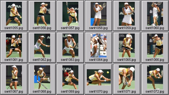 jennifer capriati ashley harkleroad