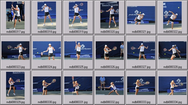 amelia island photos