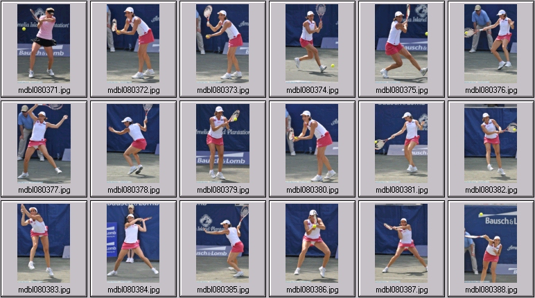 amelia island photos