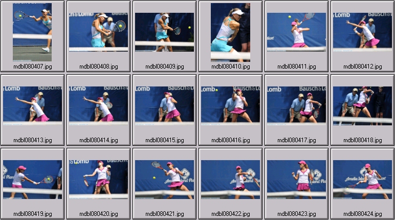 amelia island photos