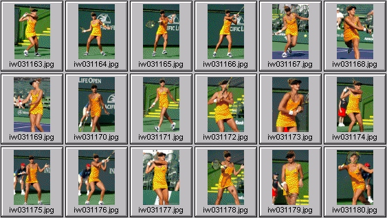 tatiana golovin, francesca schiavone