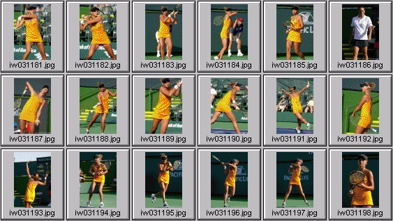 tatiana golovin, francesca schiavone