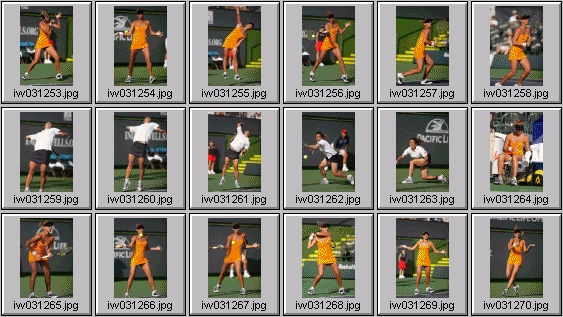 tatiana golovin, francesca schiavone