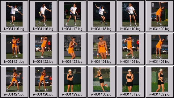 tatiana golovin, francesca schiavone, jelena dokic