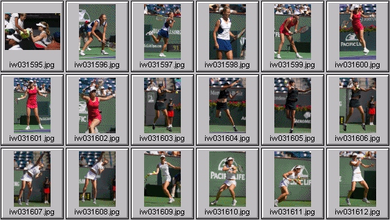 meghann shaughnessy Lindsay davenport elena likhovtseva