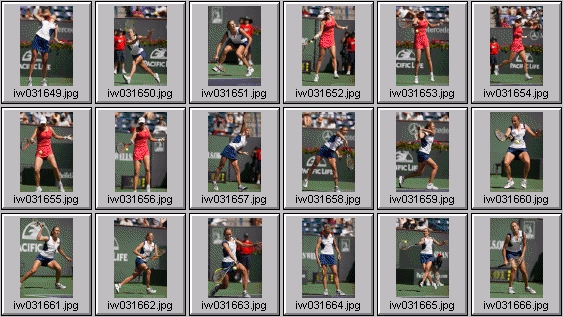 lindsay davenport elena likhovtseva