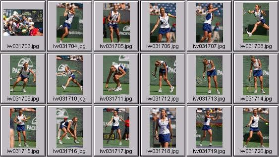 lindsay davenport elena likhovtseva