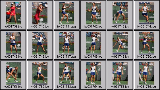 lindsay davenport elena likhovtseva