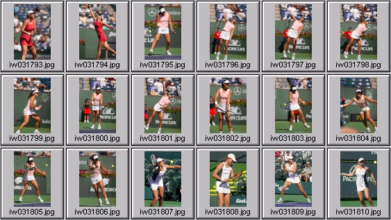 lindsay davenport elena likhovtseva