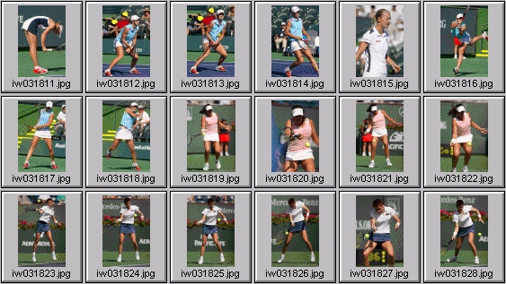 elena likhovtseva jennifer capriati denisa chladkova jelena dokic jelena kostanic