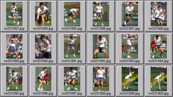 jelena dokic denisa chladkova