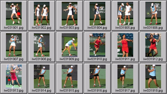 jelena dokic nadia petrova amelie mauresimo jelena kostanic henrieta nagyova