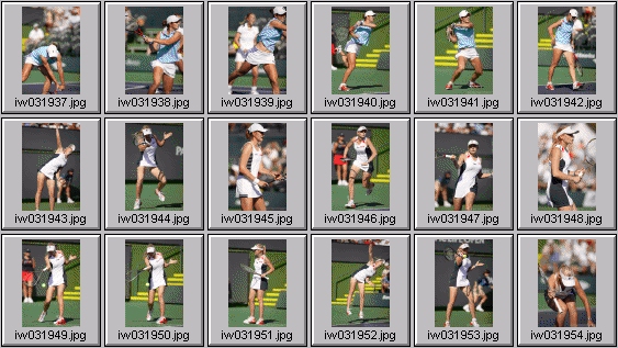 jelena kostanic henrieta nagyova jelena dokic, nadia petrova