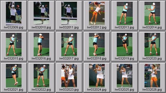 jelena kostanic kim clijsters anastasia myskina dinara safina