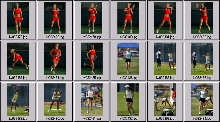 dinara safina nadia petrova