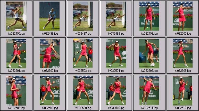 dinara safina nadia petrova