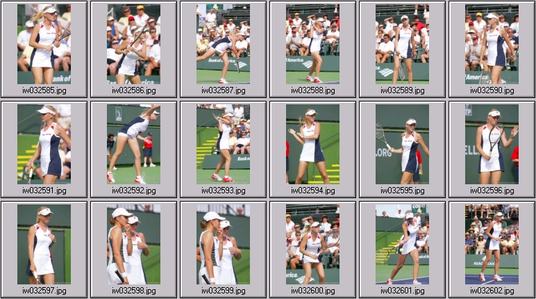 jelena dokic nadia petrova