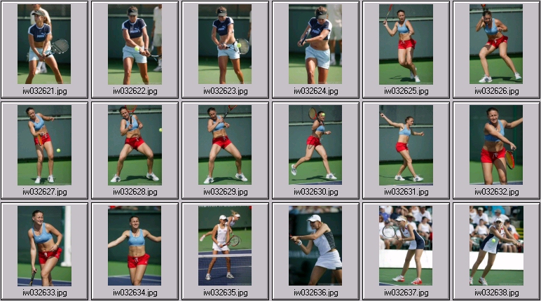 gagliardi kostanic petrova dokic