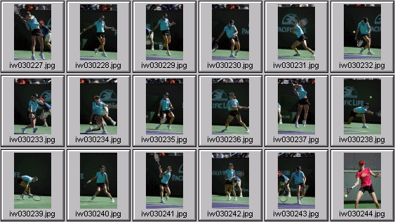 cara black sarah taylor