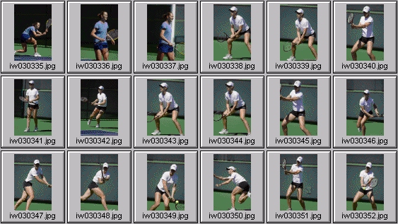 elena likhovtseva, elena dementieva