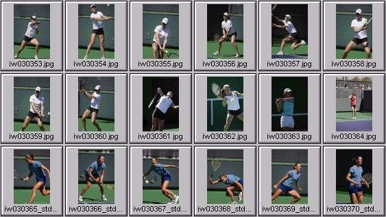 elena likhovtseva, elena dementieva, davenport, hantuchova