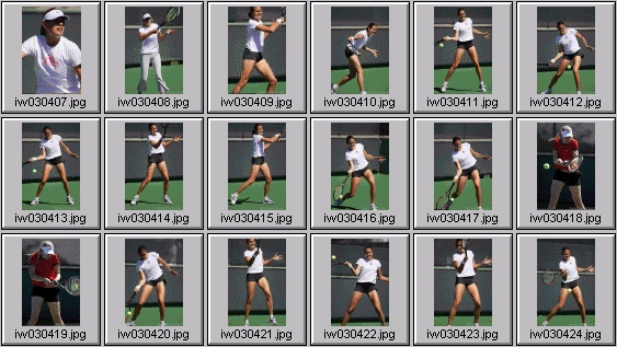 maria sharapova, nadia petrova, jelena dokic