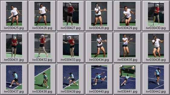 nadia petrova, jelena dokic, cara black