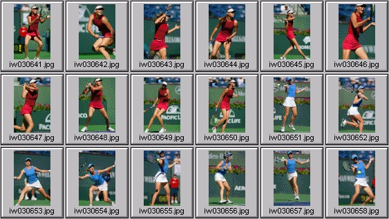 Maria Sharapova, samantha reeves