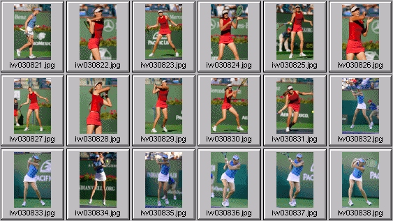 samantha reeves, maria sharapova