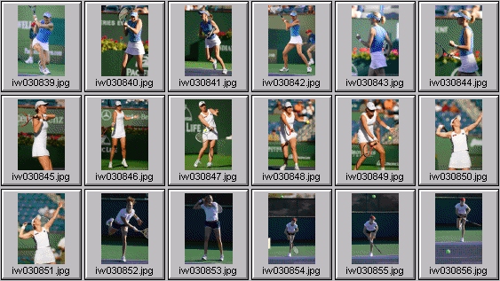 samantha reeves, lindsay davenport, lisa raymond, elena bovina, daniela hantuchova