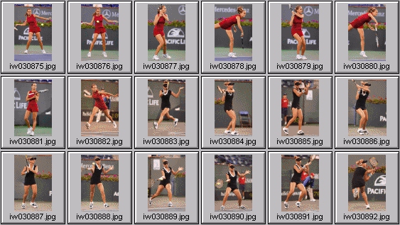 tatiana golovin, gisela dulko