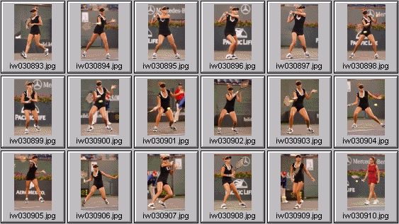 tatiana golovin, gisela dulko