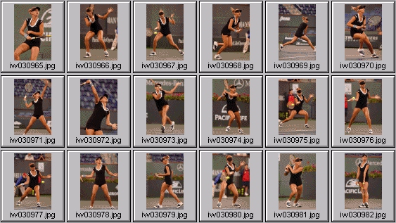 tatiana golovin, gisela dulko