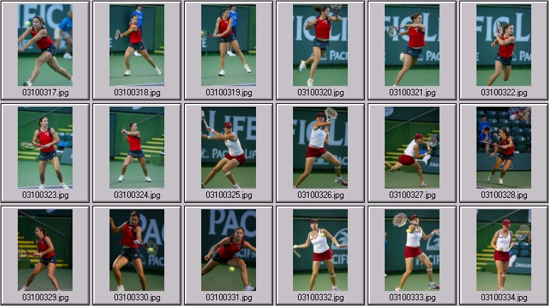 alisa kleybanova jelena kostanic photos