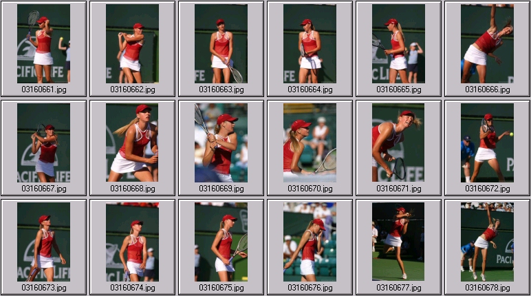 maria sharapova photos