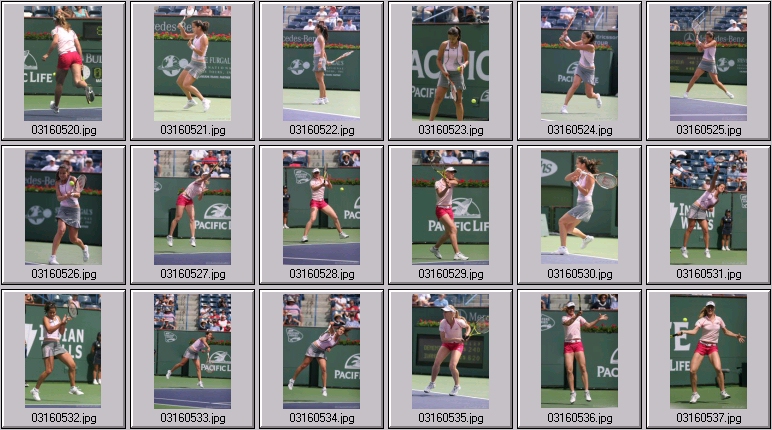 elena dementieva stock sports photos