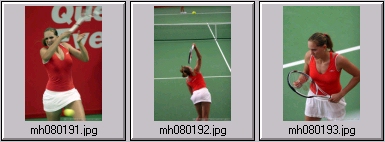 nicole vaidisova wta