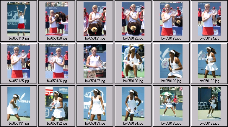 womens tennis - clijsters, williams