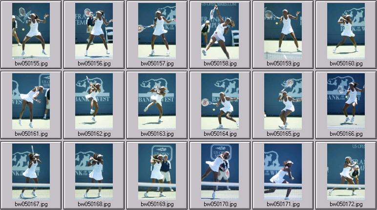 womens tennis - clijsters, williams