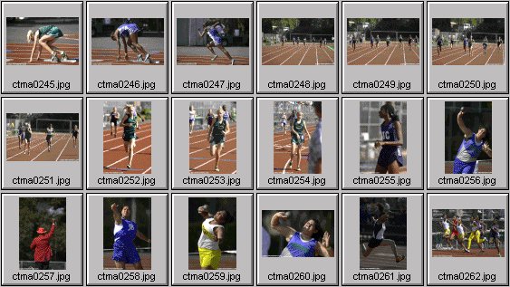 prep womens track and field photos