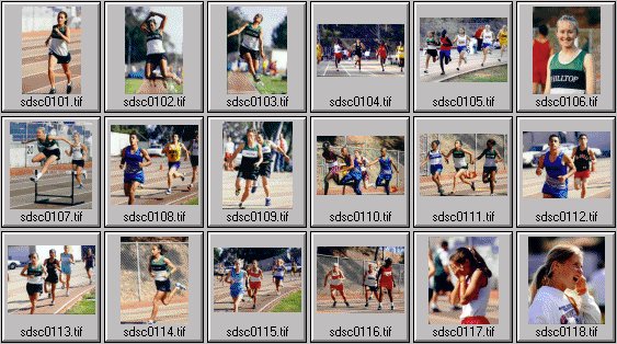 High School womens track photos