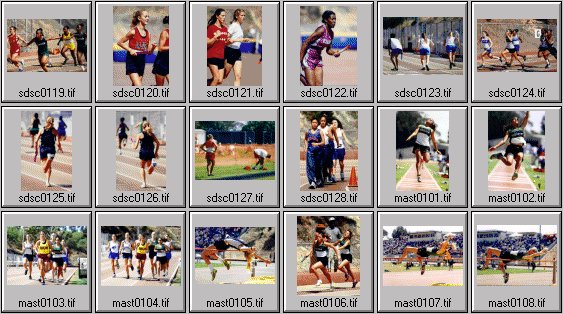 High School womens track photos