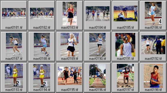 High School womens track photos