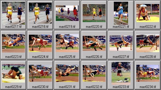 High School womens track photos