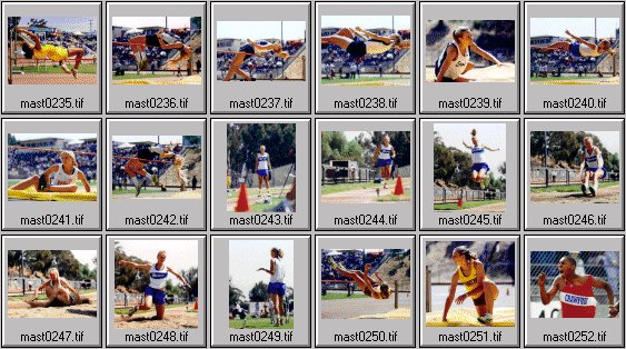 High School womens track photos