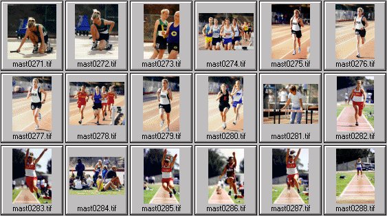 High School womens track photos
