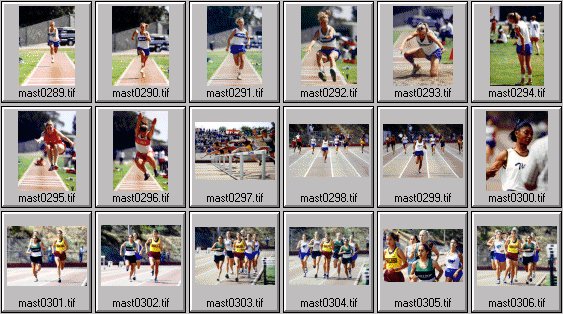 High School womens track photos